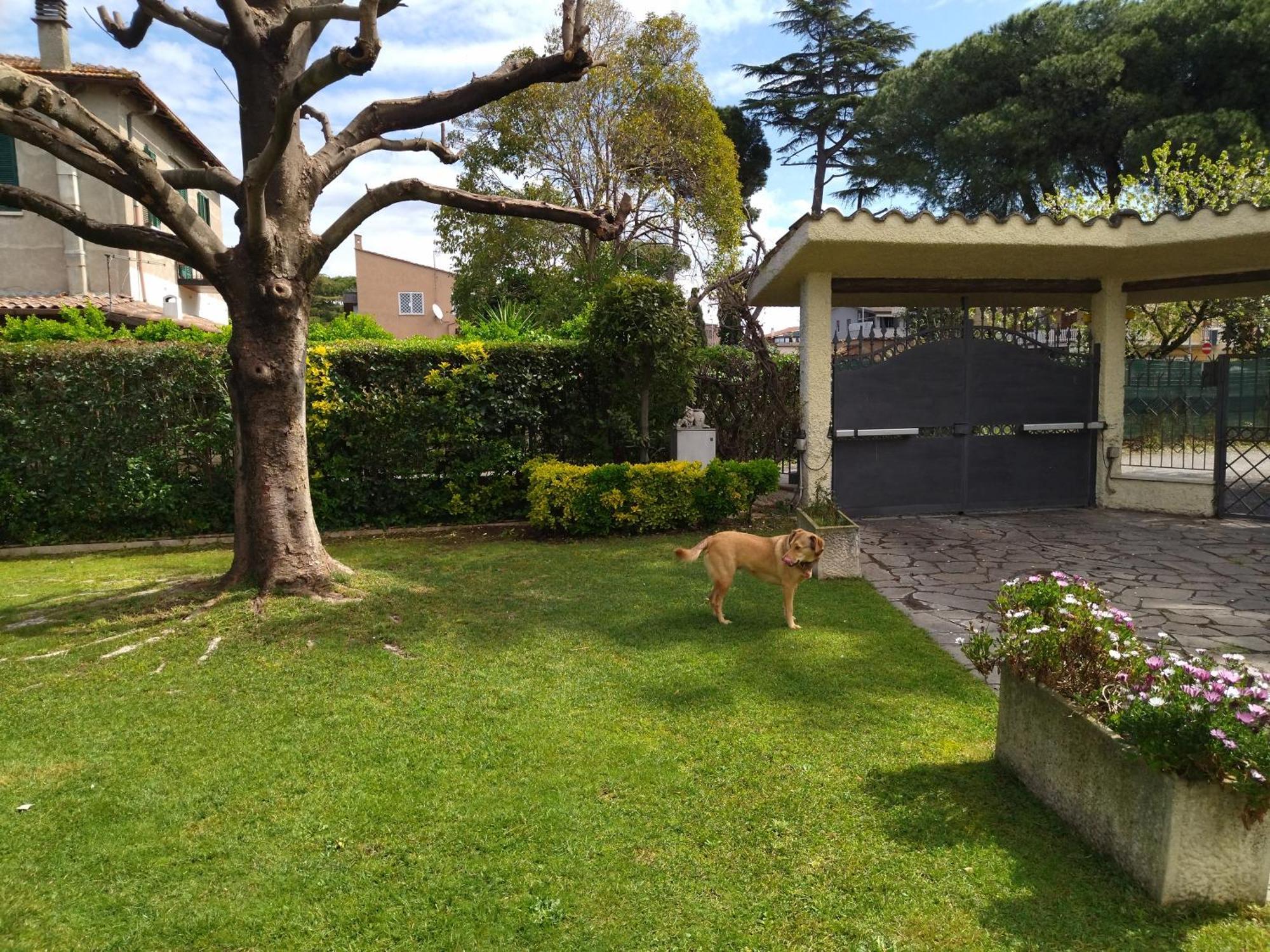 Lochaletcivico46 Apartment Rome Exterior photo